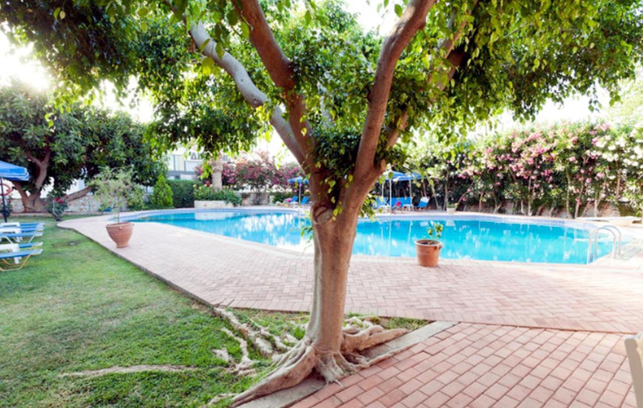 Lili Apartments,Oasis 2,5 Km From Hania Center Parigoria 외부 사진